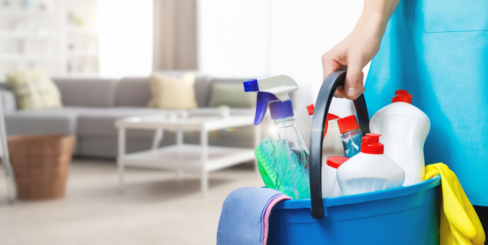 The concept of the provision of cleaning services in the house .